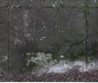 photo texture of concrete cracky 0004